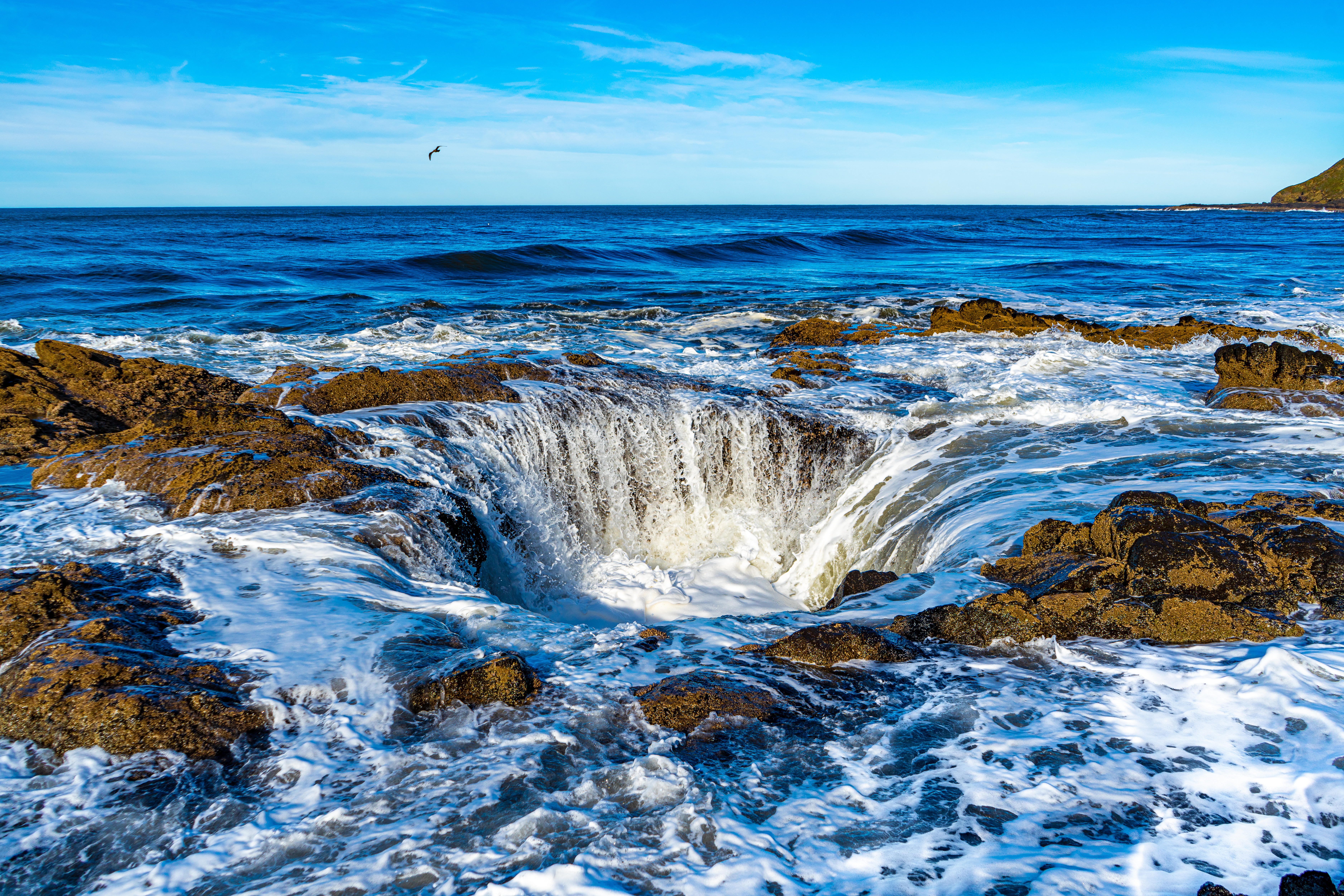 Cape Perpetua 